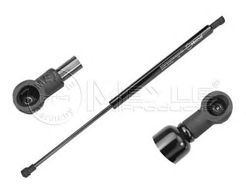 Amortecedor de tampa de porta-malas (de 3ª/5ª porta traseira) Magneti Marelli 430719085000