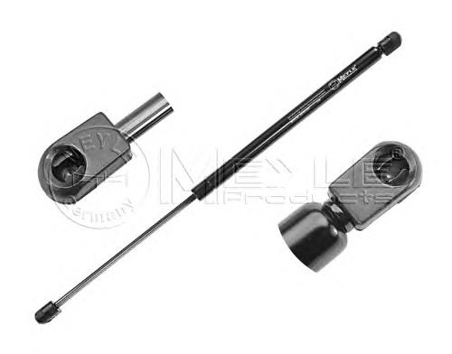 7769737 Fiat/Alfa/Lancia Amortecedor de tampa de porta-malas (de 3ª/5ª porta traseira)