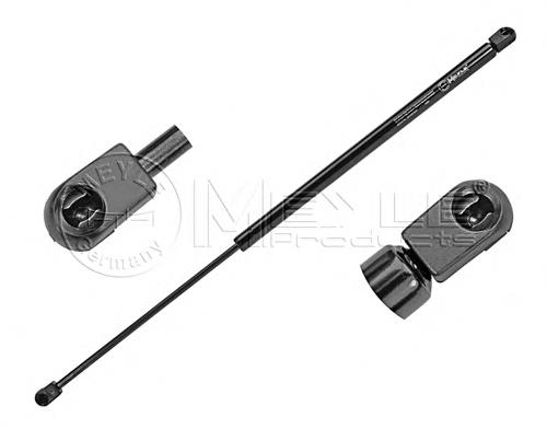 8731G6 Peugeot/Citroen Amortecedor de tampa de porta-malas (de 3ª/5ª porta traseira)