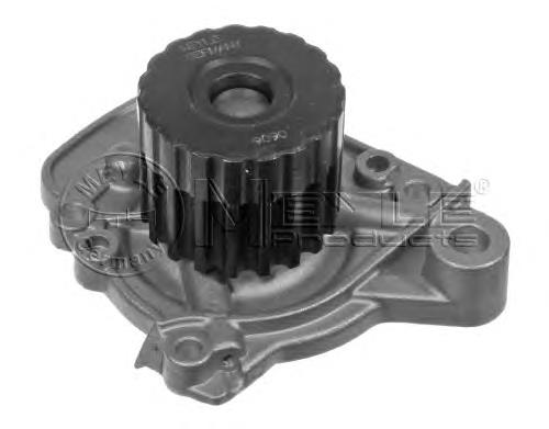 Compre WP6109 Continental/Siemens Bomba de água (bomba) de esfriamento