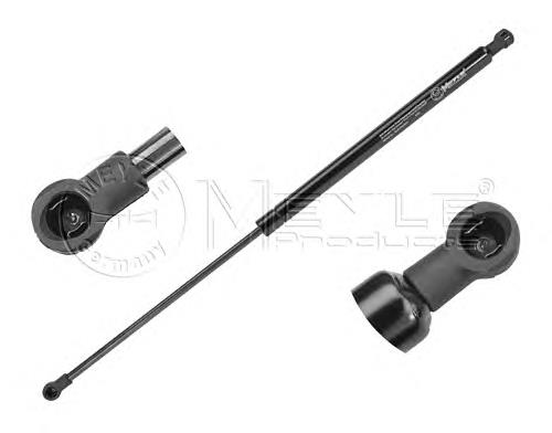 8200025317 Renault (RVI) Amortecedor de tampa de porta-malas (de 3ª/5ª porta traseira)