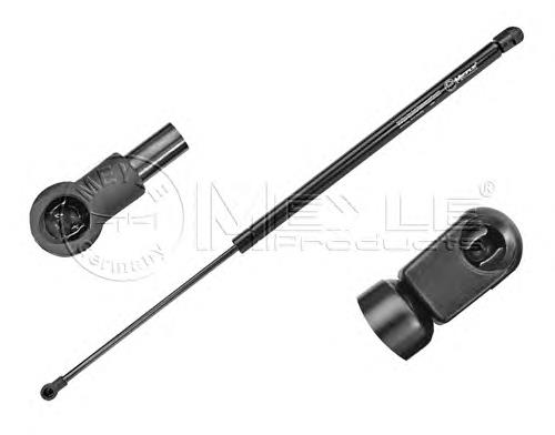7700846772 Renault (RVI) Amortecedor de tampa de porta-malas (de 3ª/5ª porta traseira)