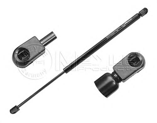 8200119500 Renault (RVI) Amortecedor de tampa de porta-malas (de 3ª/5ª porta traseira)