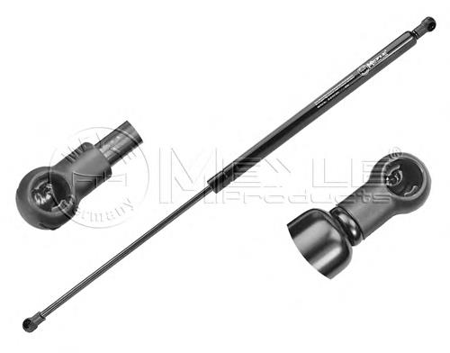 844304692R Renault (RVI) Amortecedor de tampa de porta-malas (de 3ª/5ª porta traseira)