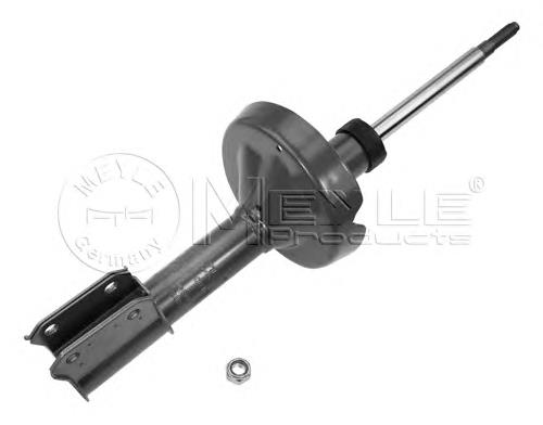 8200662263 Renault (RVI) Amortecedor dianteiro