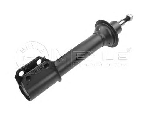 543024308R Renault (RVI) Amortecedor dianteiro