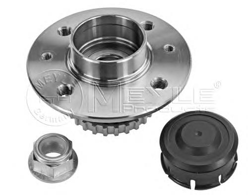 Cubo traseiro 7701205499 Renault (RVI)