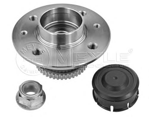 8660002000 Renault (RVI) Cubo traseiro