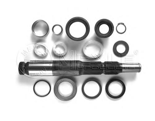 Kit de reparação do eixo de forquilha de embraiagem Diesel Technic 490065