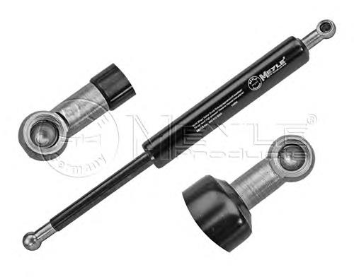 Compre ZSA05019 Ashika Amortecedor de tampa de porta-malas (de 3ª/5ª porta traseira)