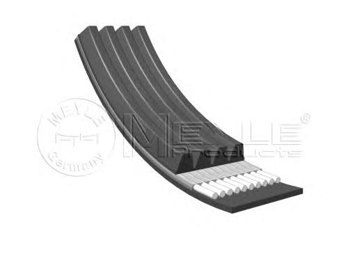 VKMV4PK595 SKF Correia dos conjuntos de transmissão