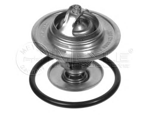 Termostato TST00487T Starline