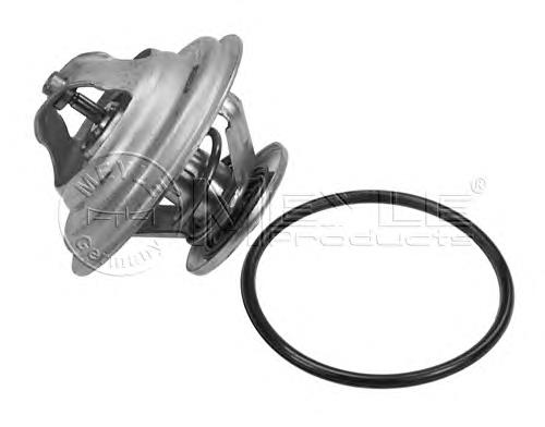 Termostato 078121113G VAG