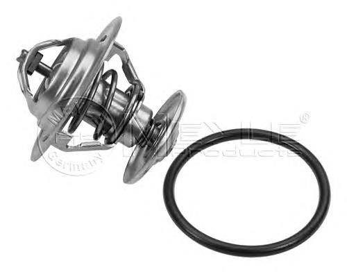 Compre TST00487T Starline Termostato