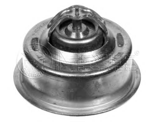 273459 Volvo Termostato