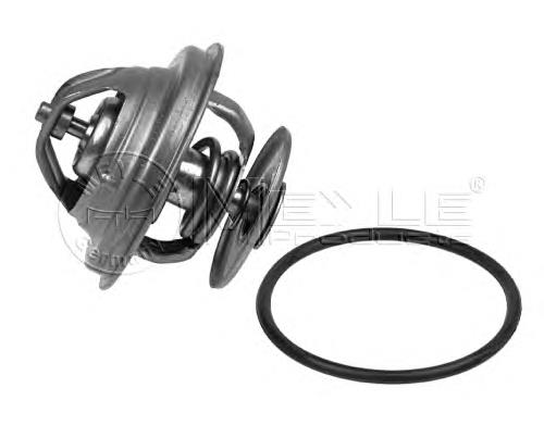 Termostato 460668 Diesel Technic