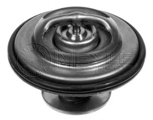 Termostato 5305388 FAE
