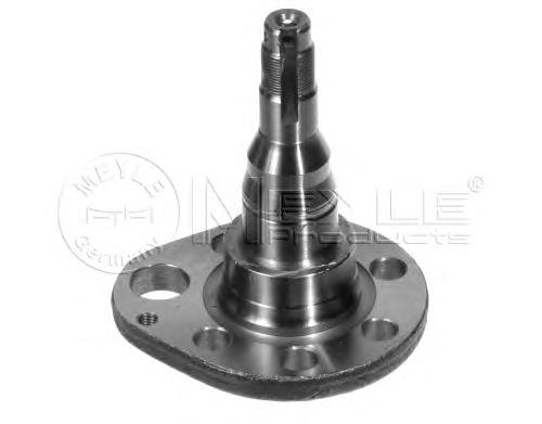 Compre 333501118A VAG Pino moente (extremidade do eixo) traseiro direito