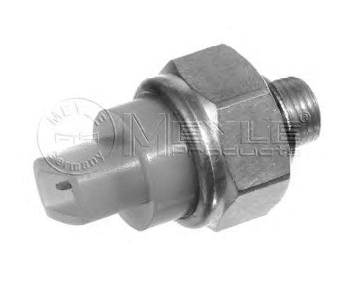 107350755 Hans Pries (Topran) Sensor de temperatura do fluido de esfriamento