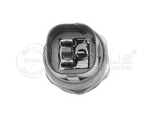 Compre 1009599001 Meyle Sensor de temperatura do fluido de esfriamento (de ativação de ventilador do radiador)