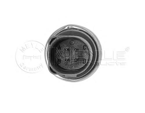 Compre 1009190037 Meyle Sensor de temperatura do fluido de esfriamento