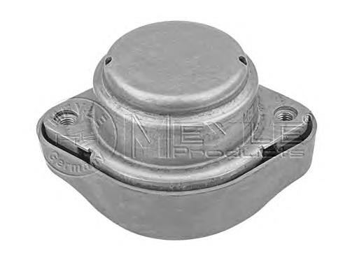 Compre 461147 Cautex Coxim de transmissão (suporte da caixa de mudança)