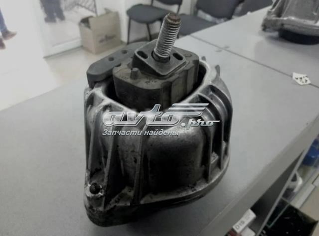 22116768800 BMW