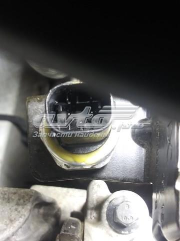 8200974421 Market (OEM)