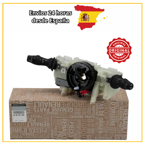 255670019R Renault (RVI)