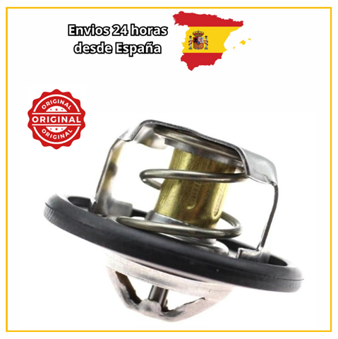  Laguna II carrinha (2001-2007) original desde 12,01 €