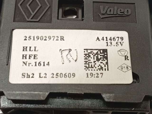 251902972R Renault (RVI)