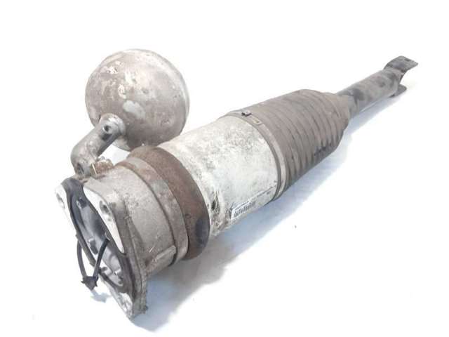 Amortecedor traseiro esquerdo 3D0616001N VAG