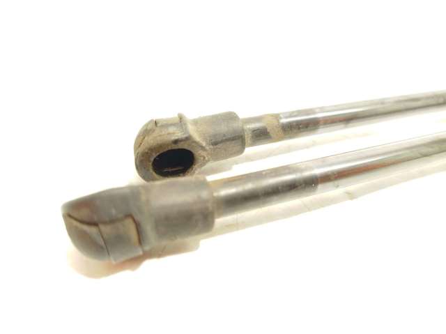 Amortecedor de tampa de porta-malas (de 3ª/5ª porta traseira) 51247239871 BMW