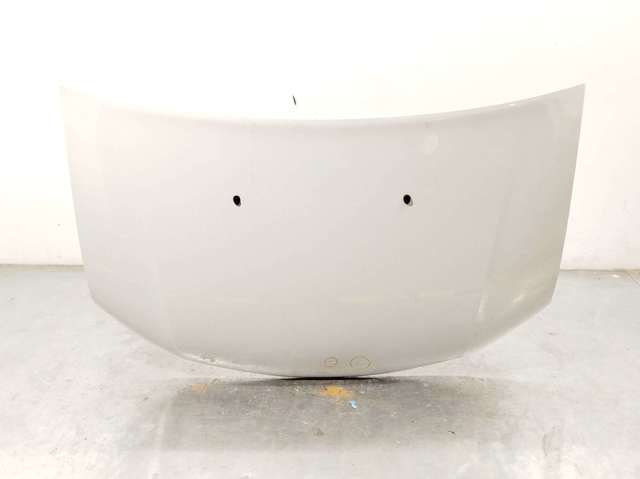 651001918R Renault (RVI)