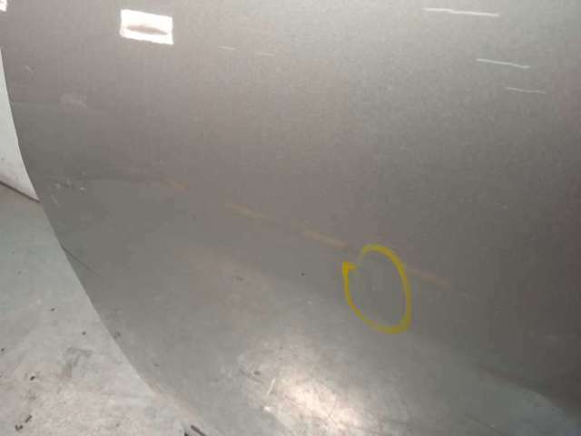 Porta traseira esquerda 821019679R RENAULT