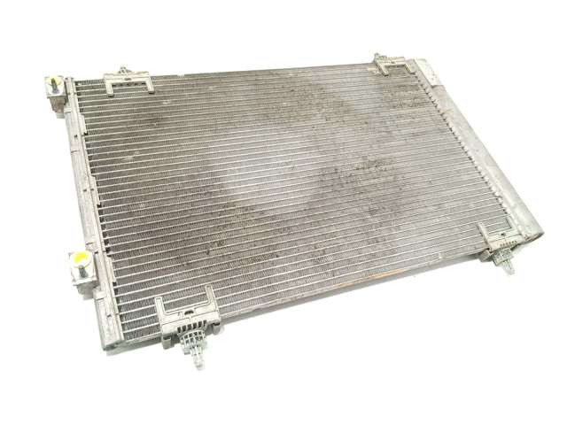 9650545480 Peugeot/Citroen