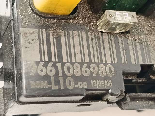 9661086980 Peugeot/Citroen