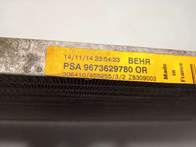 9673629780 Peugeot/Citroen