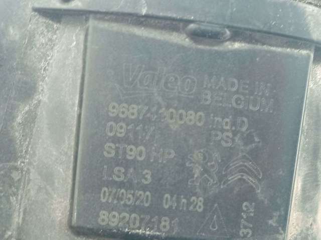 9687410080 Peugeot/Citroen