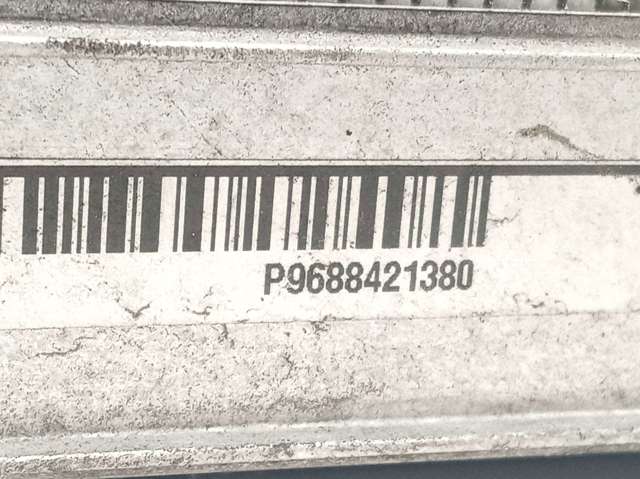 Radiador de esfriamento de motor 9688421380 PEUGEOT