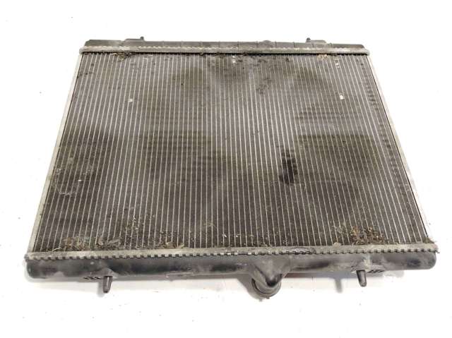 9800482380 Peugeot/Citroen