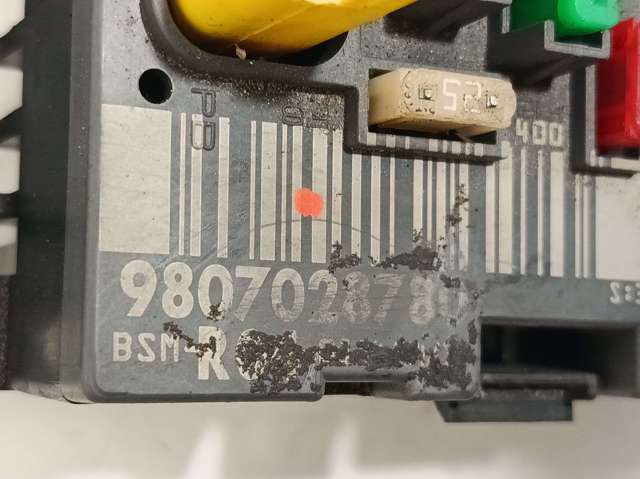 9807028780 Peugeot/Citroen