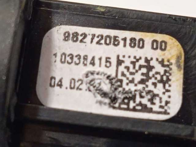 9809759880 Peugeot/Citroen