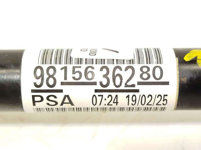 9815636280 Peugeot/Citroen