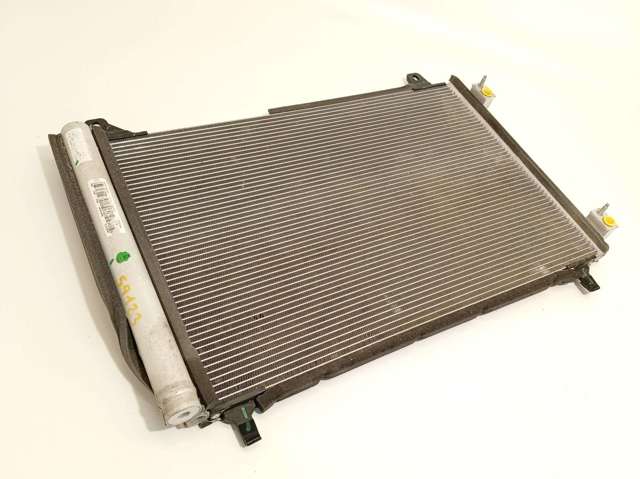 9825441980 Peugeot/Citroen