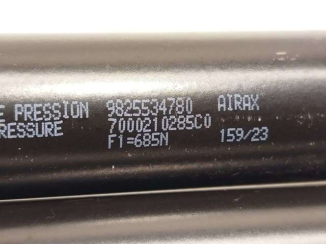 9825534780 Peugeot/Citroen