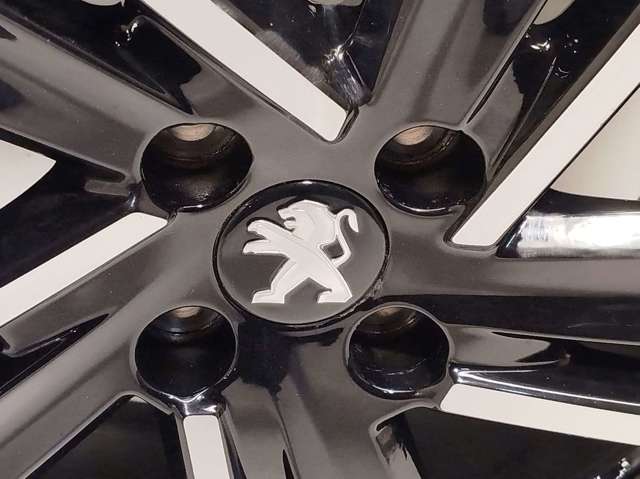 98281860XY Peugeot/Citroen