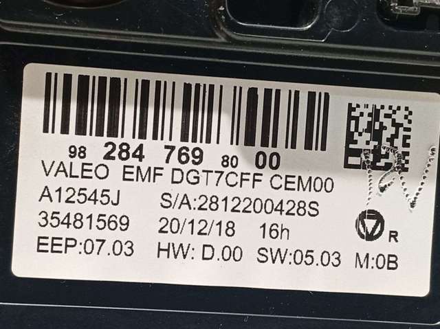 9828476980 Peugeot/Citroen
