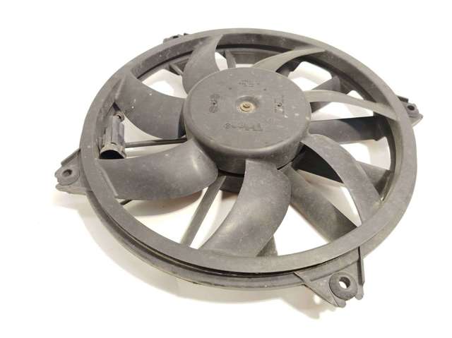 9828719880 Peugeot/Citroen