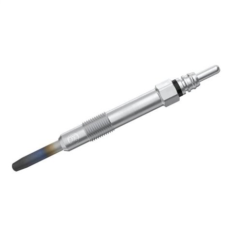 0250202036 Bosch